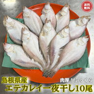 【送料無料】島根県産！山陰の美味！肉厚♪えてかれい一夜干し10尾セット。【カレイ 干物 エテガレイ 魚】