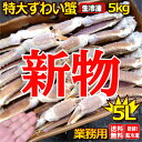2025年新物【送料無料】味と鮮度で勝負 活けに次ぐ超鮮度！5Lサイズ 生ズワイの最高位！中央市場のプロ投票1位【もう遠慮は無用！子供も大人も大満足】★船上凍結！生ズワイガニ5L 5k プロ用業務用 (オピリオ種 約12-14肩前後)