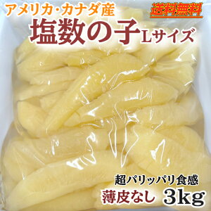 Vyz̎q3kgpbpHEiQ(Ȃ)AJ̓Ji_Y̍ōiI1{̖12`15cm