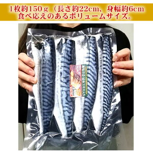 楽天市場 中央市場のプロもリピートの 大サイズ４枚入 ８８８円 これ脂ノリ最高のノルウェー産 甘塩さば 昆布ダシ仕込み 片身大サイズ４枚セットこのサバ 最高のおいしさでお勧め サバ 鯖 塩サバ 定番おかずに 全国美味発掘 神戸中央卸売財木