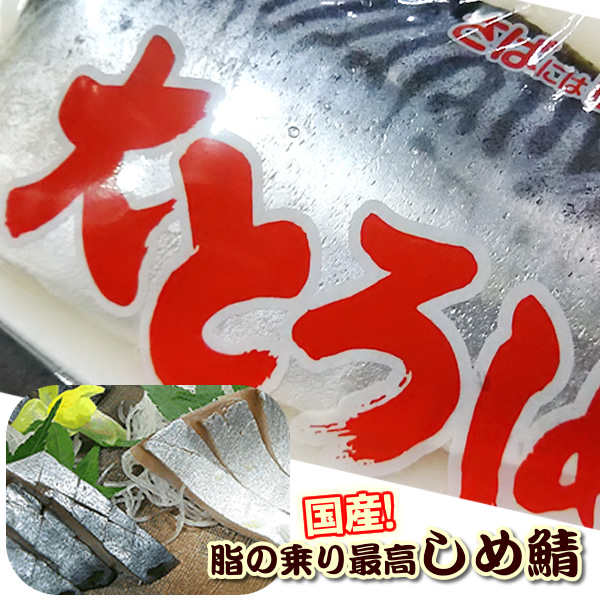 神戸中央卸売市場から各種ご贈答 ギフトに 農林水産大臣賞受賞 大トロしめさば 国産の真サバ 待望 １枚 キズシ しめ鯖 鯖寿司用 〆鯖 きずし用 【2021正規激安】 しめさば