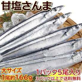 【2025年漁獲　新物塩さんま】北海道産！ 甘塩さんま 1パック5尾入（1尾平均166g）3パック以上は送料無料 これは塩さんまです【秋刀魚 サンマ】前回販売分（1尾平均150g）よりも更に大きいサイズです！