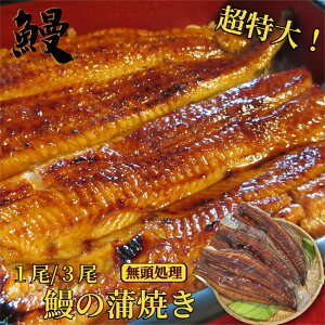 偕 ȂāiEwJj1330g̒̃Xg[^iAJEiMjiEiM Ă yp̉N̓) 3Zbg͖̑̕kCEւ͕ʓr10