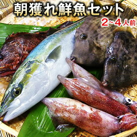 楽天市場 鮮魚の通販 楽天市場 鮮魚の通販