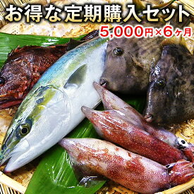 【定期購入】嬉しい特典【2,000円分の鮮魚】付き！！【5,000円×6ヶ月コース】【送料無料】【smtb-ms】