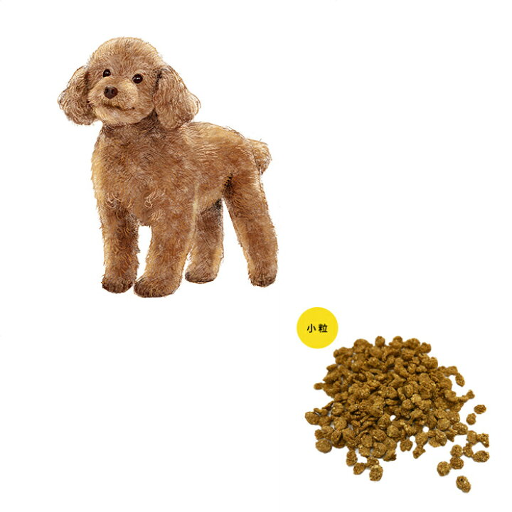 楽天市場 成犬用トイプードル ドッグフード 小粒 1ｋｇ ドッグフード ドックフード ペットフード 国産 プレミアム ドライフード パピー 成犬 シニア 犬種別 国産原材料 マルセイ食品 マルセイ食品 楽天市場店