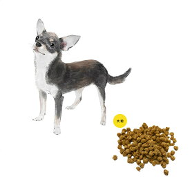 成犬用チワワ　ドッグフード　大粒　1kg／ドッグフード ドックフード ペットフード 国産 プレミアム ドライフード パピー 成犬 シニア 犬種別 国産原材料 マルセイ食品