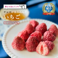 【まるしげ公式】 チョコが染み込んだいちご 1袋40g ホワイトチョコレート フルーツチョコ しみこみショ…