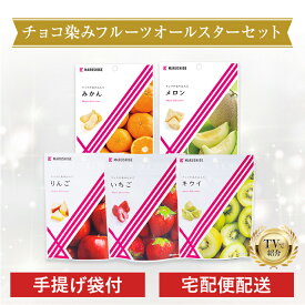 ドライフルーツ チョコ 【送料無料】【楽天ランキング1位獲得】【TVで紹介】 チョコが染み込んだフルーツ 5個セット フルーツ チョコ 食品 お菓子 母の日