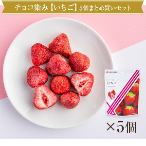 【まるしげ公式】 【送料無料】 チョコが染み込んだ いちご 5袋まとめ買いセット 1袋40g 紙袋付き しみこみショコラ