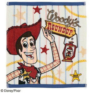 Disney fBYj[ nh^I gCEXg[[ AeB[N[