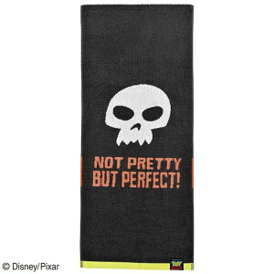 Disney fBYj[ PIXER sNT[ tFCX^I gCXg[[ _[N|WV