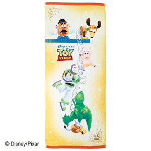 Disney fBYj[ tFCX^I gCEXg[[ S[fIW