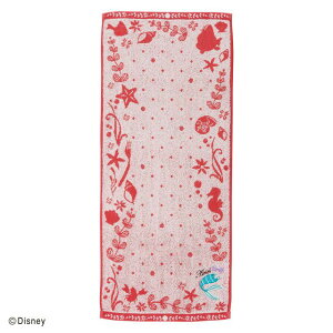 Disney fBYj[ AG  ^I ʏ l g}[Ch }[Ch lP