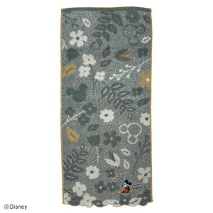 Disney fBYj[ tFCX^I ~bL[ i`[t I[KjbNRbg