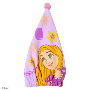 Disney fBYj[ vZX Lbv^I ̏̃vcF OECg