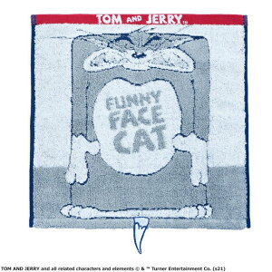 gƃWF[ t@j[tFCXLbg nh^I L[^I 30×30cm