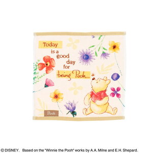 fBYj[ ܂̃v[ nslXt[fC ~j^I