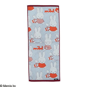 miffy ~btB[ ~btB[Ƃڂ tFCX^I