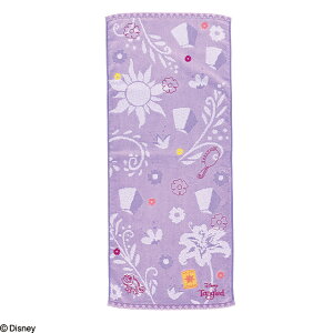 fBYj[ ̏̃vcF ACRjbN^ tFCX^I