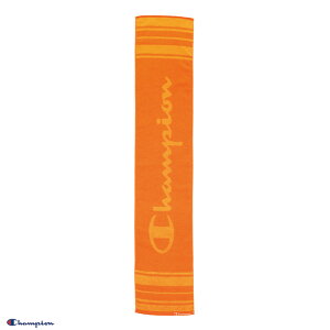 Champion `sI pbgS(IW) }t[^I