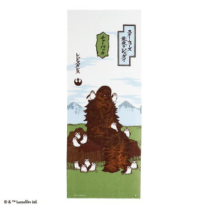 STAR WARS X^[EEH[Y `[obJ/NEh ʂ