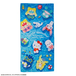 TI LN^[Y T}[t[eBO NCbNhCoX^I