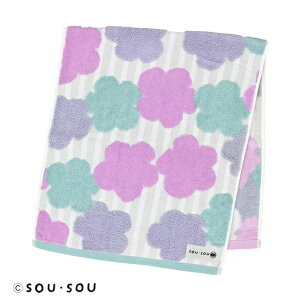 tFCX^I SOUESOU zŋKN (l[t)