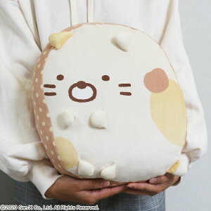 NbV ݂R炵 6575010900