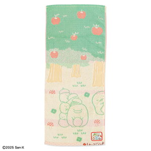 ݂R炵 NNsNjbN tFCX^I