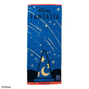 Disney t@^WA ~bL[}EX @̖Xq tFCX^I