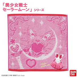 美少女戦士セーラームーン コスチューム（ちびムーン） ハンドタオル キャリータオル 約30×30cm