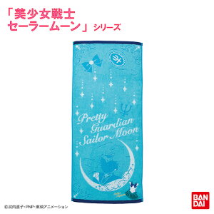 �t�F�C�X�^�I�� ��������m�Z�[���[���[�� �R�X�`���[���i�Z�[���[�l�v�`���[���j