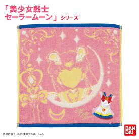 美少女戦士セーラームーン コスチューム（スーパーセーラームーン） ハンドタオル キャリータオル 約30×30cm
