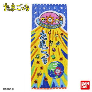 ܂ pbP[Wς tFCX^I I[KjbNRbg