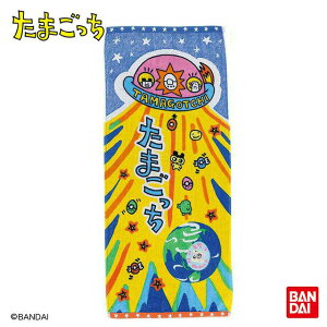 ܂ pbP[W܂߂ tFCX^I I[KjbNRbg