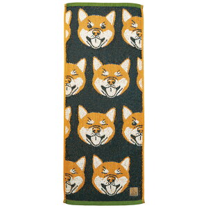 �����_�t���s�[�X ���u�A�C�Y_�Č� �t�F�C�X�^�I�� �X�L�j�[�^�I�� ��30×80cm