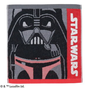 Disney fBYj[ nh^I X^[EEH[Y tFCXAbv_[N