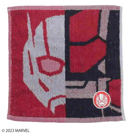 Disney ディズニー ミニタオル MARVEL マークアント
