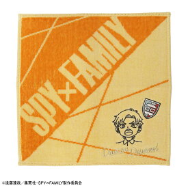 【楽天スーパーSALE 最大60％OFF！！】 ミニタオル SPY×FAMILY ダミアン・デズモンド