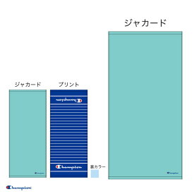 フェイスタオル2P チャンピオン フリーターコイズ