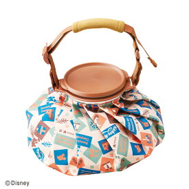 ミッキー ウォークアドベンチャー 氷のう ひょうのう