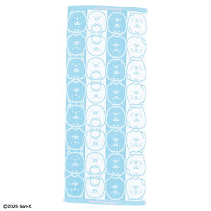 ݂R炵 RR݂RC tFCX^I