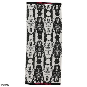 �f�B�Y�j�[ �~�b�L�[�}�E�X �~�b�L�[�t�F�C�X �t�F�C�X�^�I��