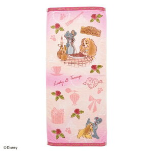 Disney fBYj[ tFCX^I 񕨌 _tfCY