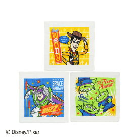 Disney ディズニー PIXER ピクサー プラケース付き トイストーリー ワンダフル ハンドタオル3枚組 プラケース付き