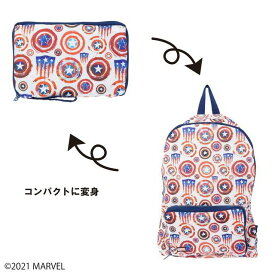 Disney ディズニー エコリュック MARVEL シャッフルアイコン