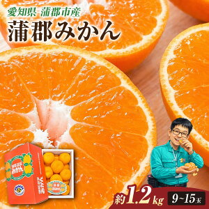 ���i�摜