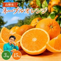 楽天市場】カリフォルニア（オレンジ｜フルーツ・果物）：食品の通販