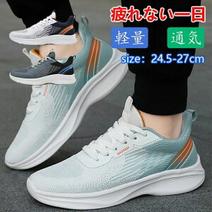 y500~OFFN[|zXj[J[ jOV[Y Y jOV[Y WMOV[Y fB[X L ^C JWA EH[LO W